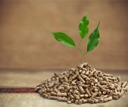 Pellets mit Blatt